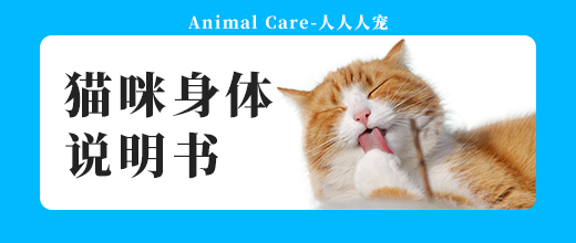 打開貓咪身體說明書，與貓咪做朋友