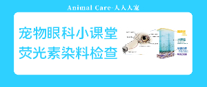 寵物眼科小課堂丨熒光素染料檢查
